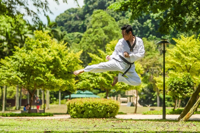 Kung Fu Image